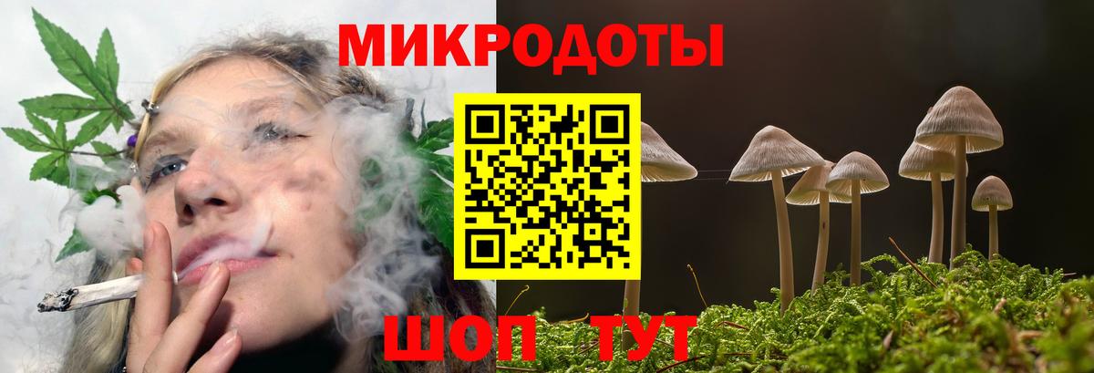 Гурьевск  Галлюциногенные грибы Psilocybine cubensis  Вход с VPN 