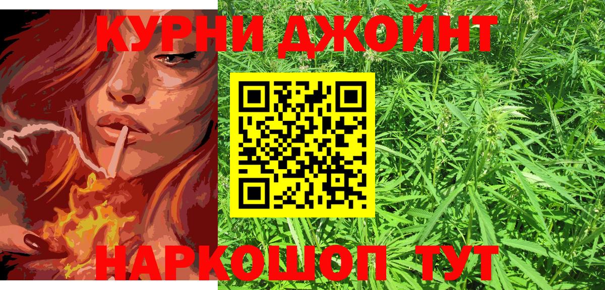 Каннабис сатива Гурьевск